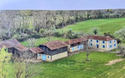 Authentique Gasconne Isolée -1ha- Toiture neuve